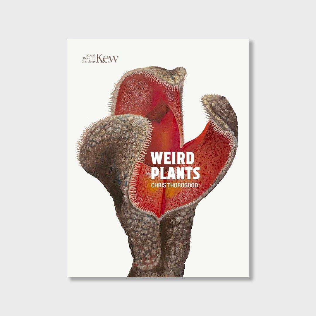 house plants and their fucked up thoughts book Weird Plants