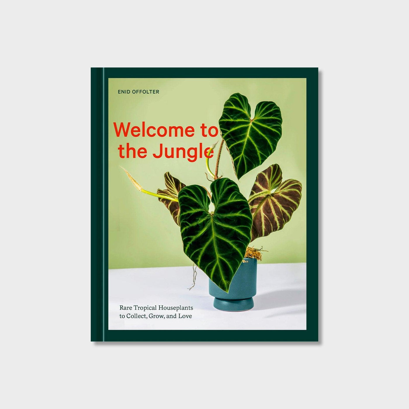 Welcome to the Jungle: Rare Tropical Houseplants to Collect, Grow, and Love - House of Kojo