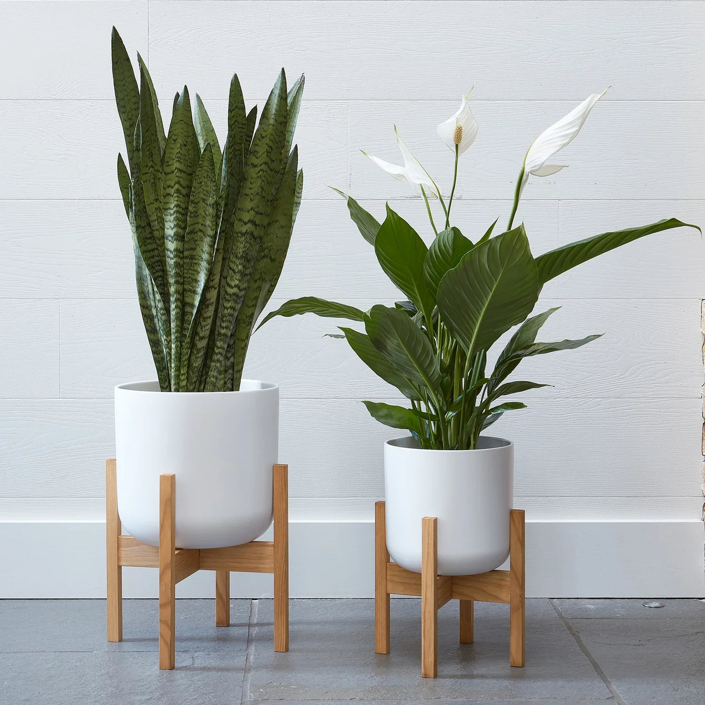 Lisbon White Plant Pot - House of Kojo