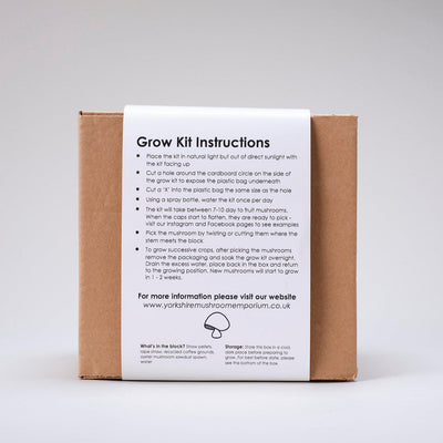 YME x Growtropicals Grey Oyster Mushroom Kit - House of Kojo